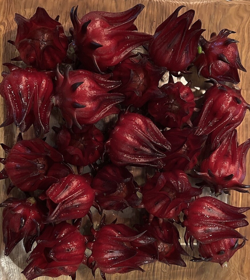 Roselle Hibiscus Seeds