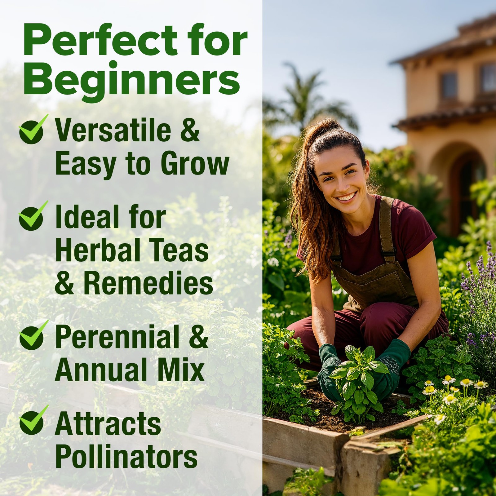 Herb Seeds 32 Medicinal Herbs and Tea Variety Pack â€“ Annual & Perennial Herb