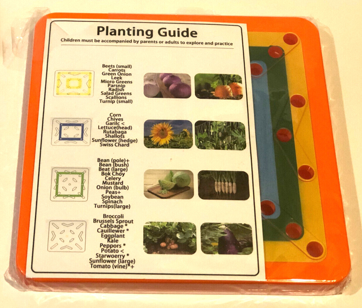 Garden Color Coded Planting Guide Vegetables Best use of space