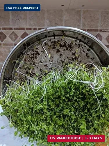 Variety Pack Sprouting Seeds Broccoli, Alfalfa, Radish, Mung beans & Salad Mix f