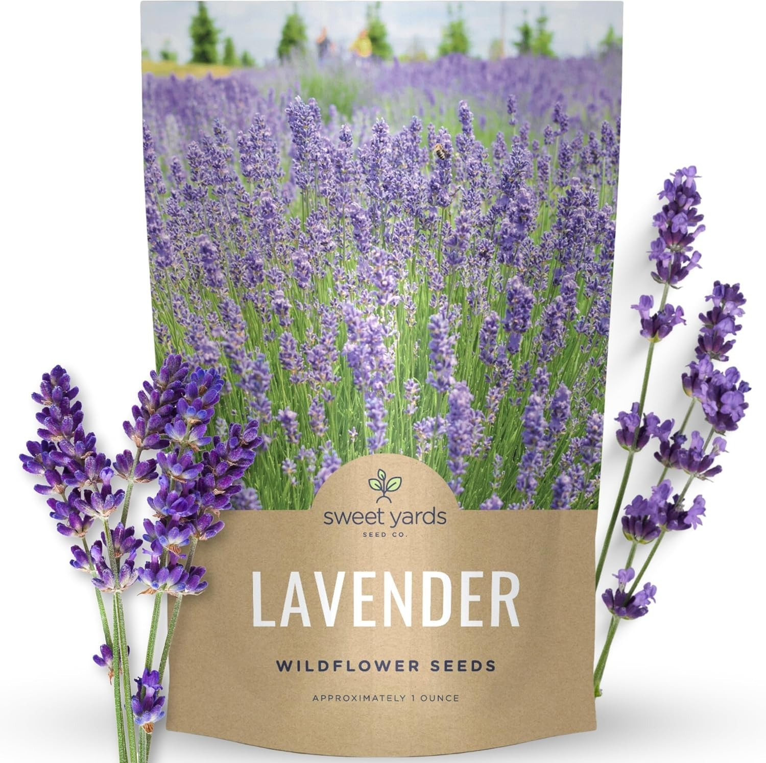 Lavender – Bulk 1 Ounce Pouch – 25,000 Flower Seeds for Planting – Lavandula …