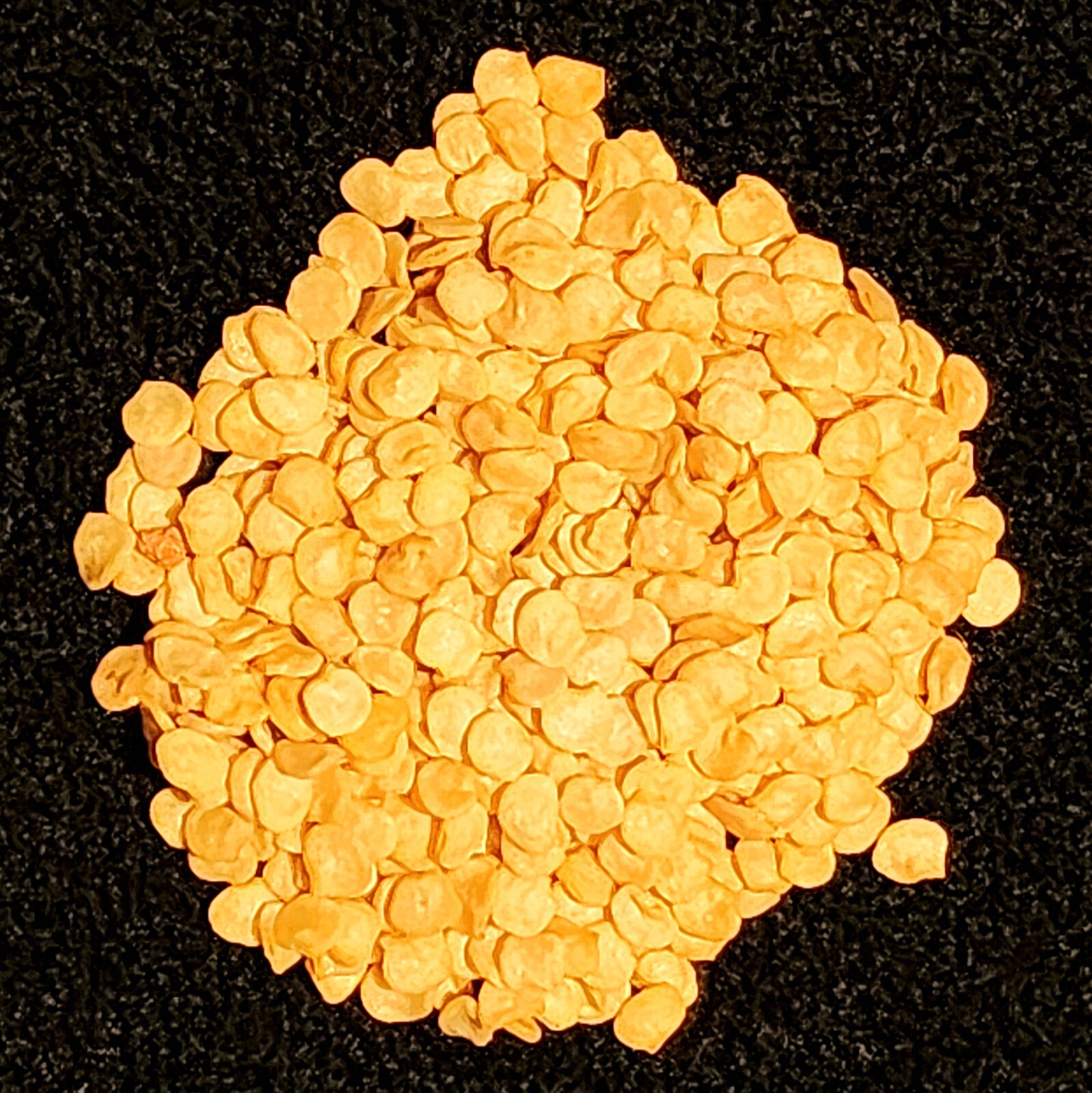 Heirloom Chiltepin Pepper Seeds – Capsicum anuum var. glabriusculum – Non-GMO
