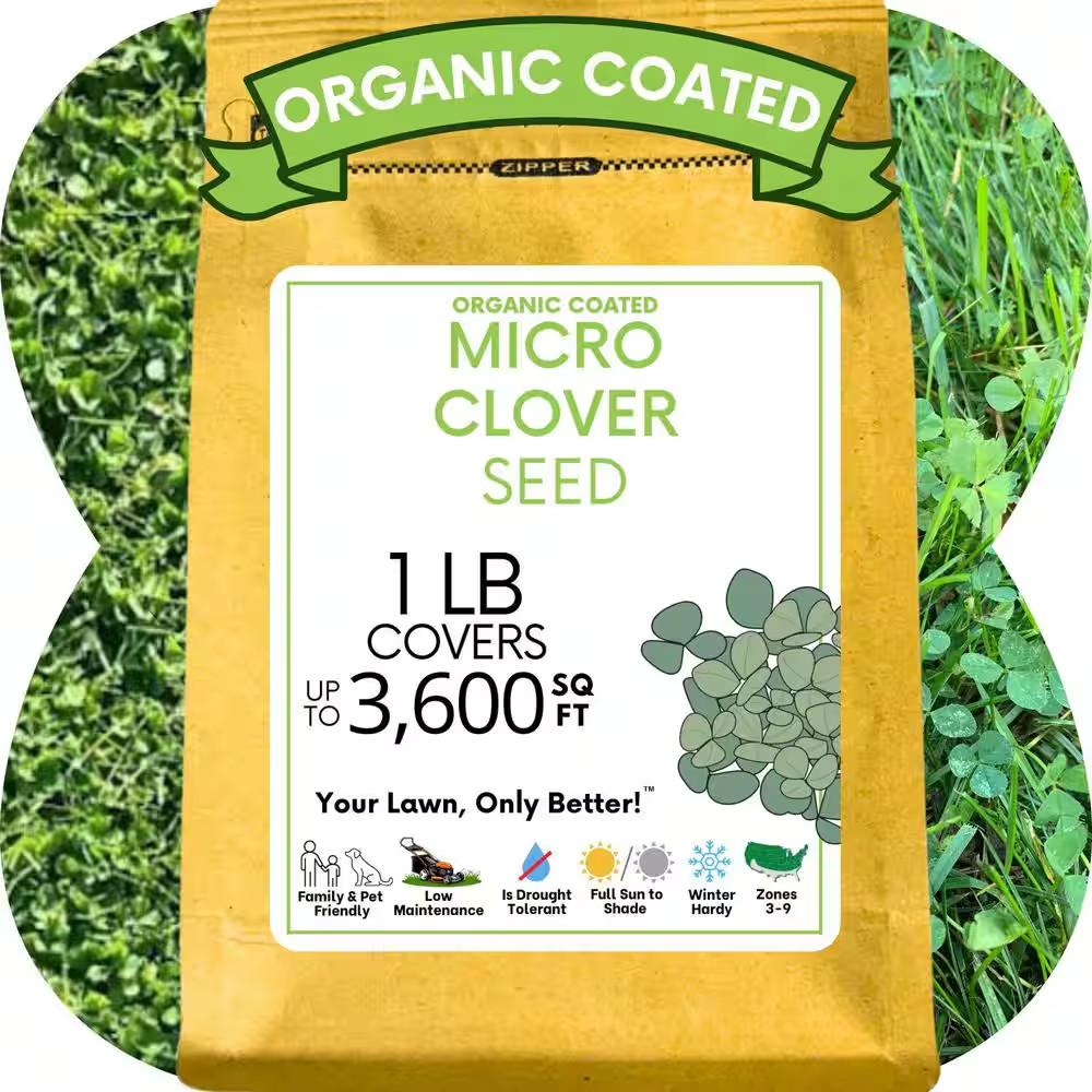 Micro Clover Seed 1 Lb, Organic Coated, Eco-Friendly, Low Growing, Low Maintenan
