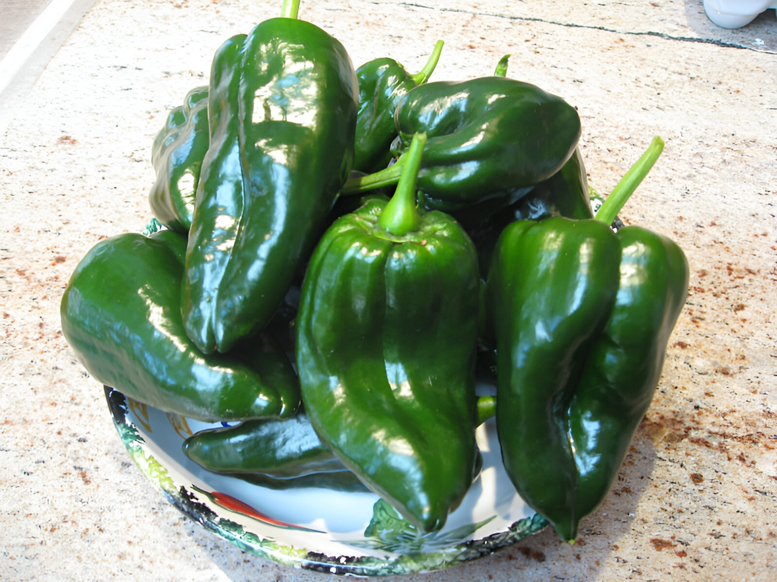 75 Heirloom Poblano Pepper Seeds – Super Mild Super Flavorful!