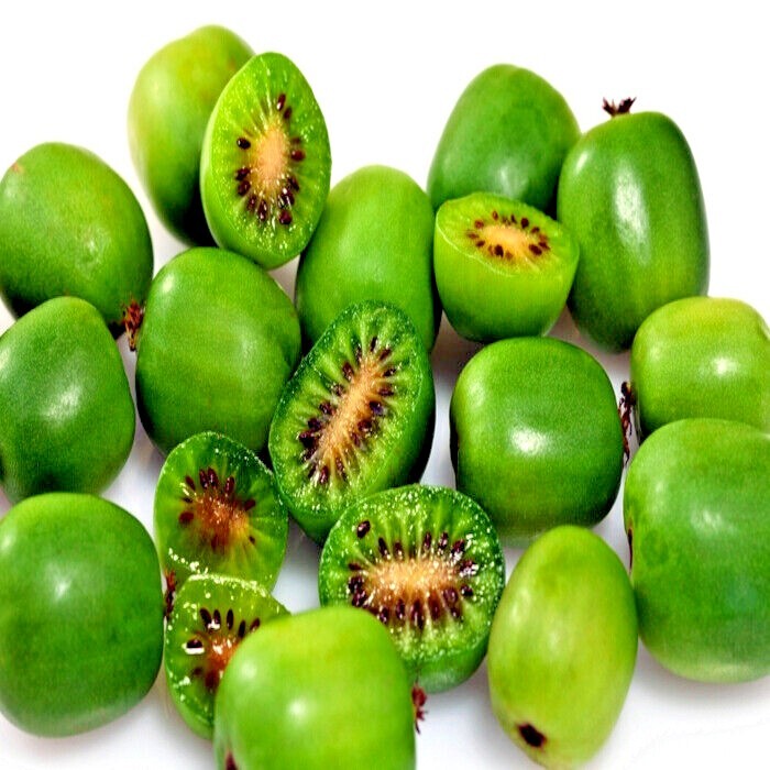 50 Issai Kiwi Seeds Arctic Grape Superfruit Garden Plant Cold Hardy Fast Vine