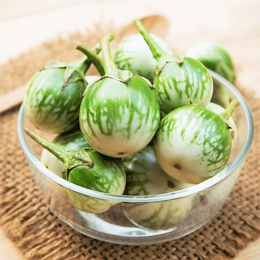Petch Siam Thai Eggplant Seeds | Green Brinjal Aubergine Baby Asian Seeds 2024