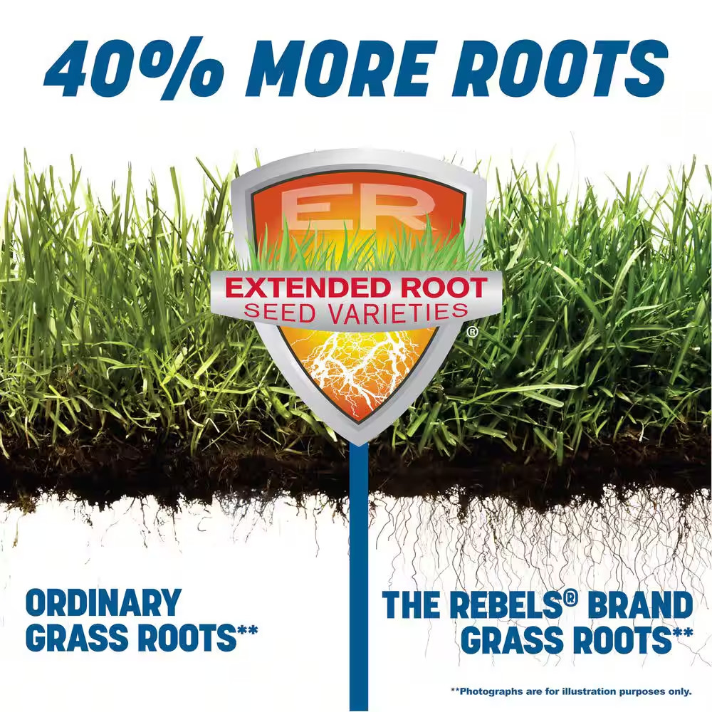 Rebels 3 Lbs. 1000 Sq. Ft. Sun and Shade Grass Seed Blend