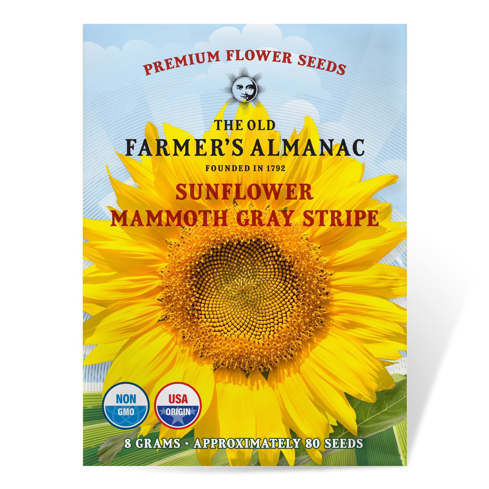 Sunflower Seeds Mammoth Gray Stripe 100 Flower Non GMO Open Pollinated
