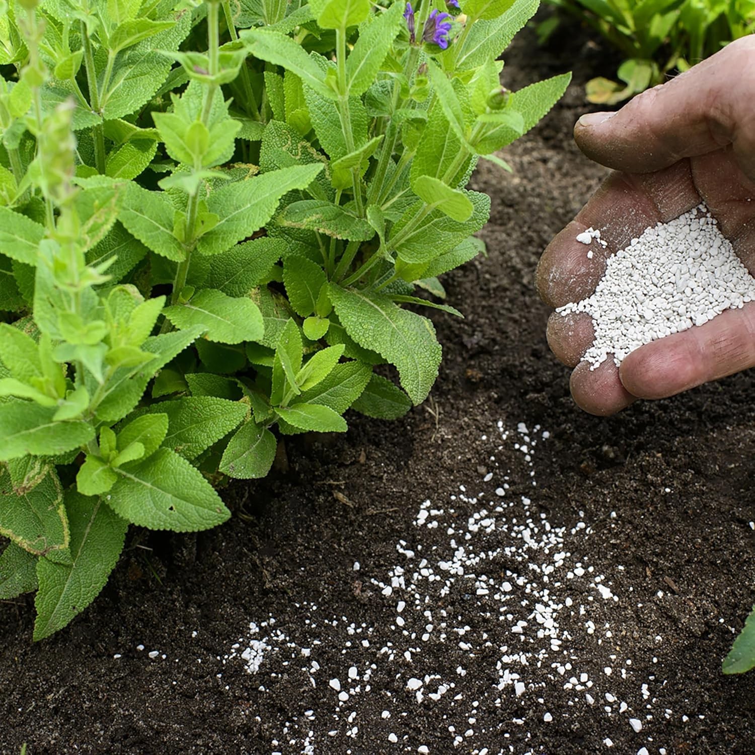 6 lbs Jobe’s Organic Garden Lime – Nutrient-Rich Soil Care for Flourishing Flora
