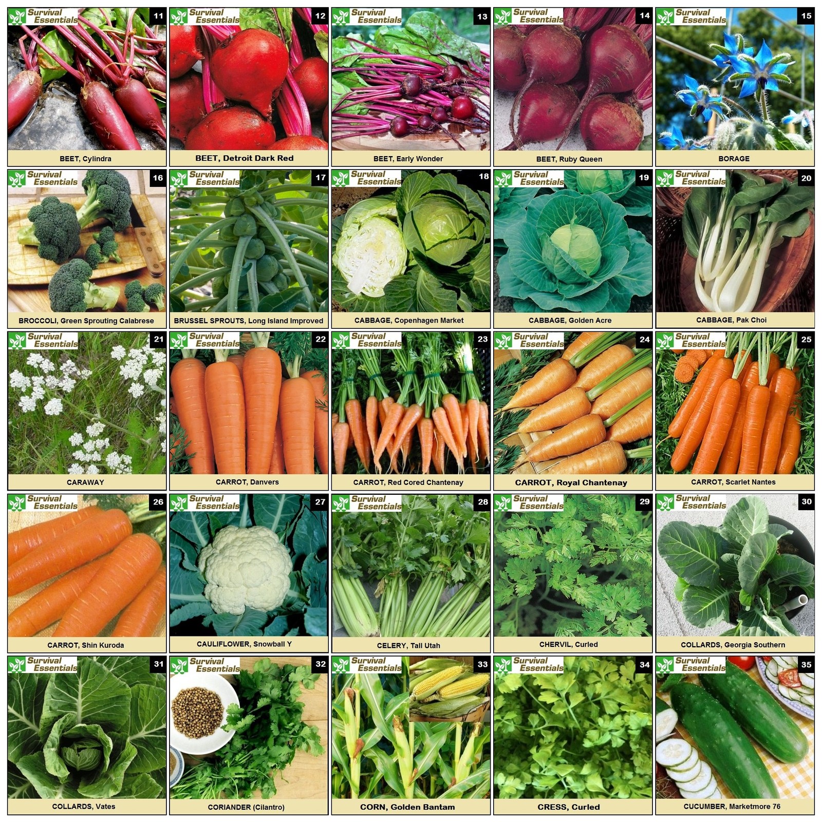 Heirloom Seeds for Planting Vegetables and Fruits – 135 Variety Vault – Medic…