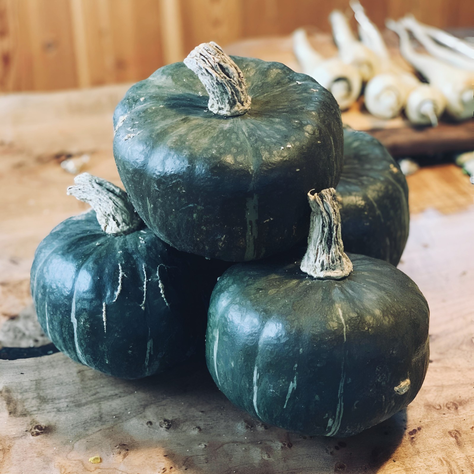 15 ~ Burgess Buttercup Winter Squash Heirloom Non-GMO Seeds