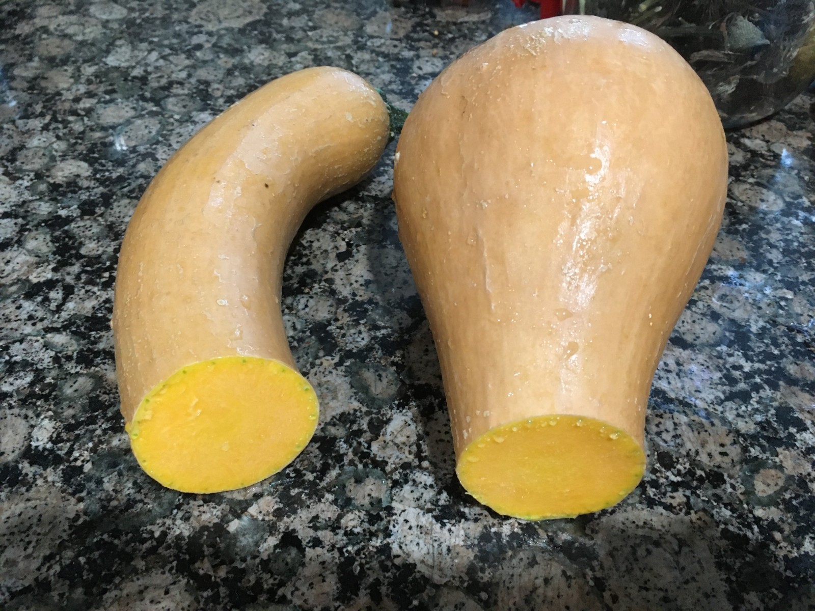 15 + organic Tromboncino Rampicante zucchini seeds Trombocino squash – FREE S/H