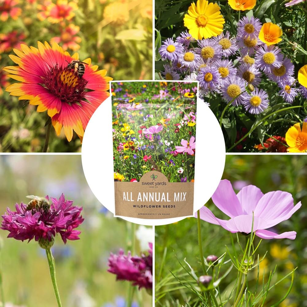 Bulk Wildflower Seeds Annual Quick Blooming 1/4 Pound Bag, Multiple Colors