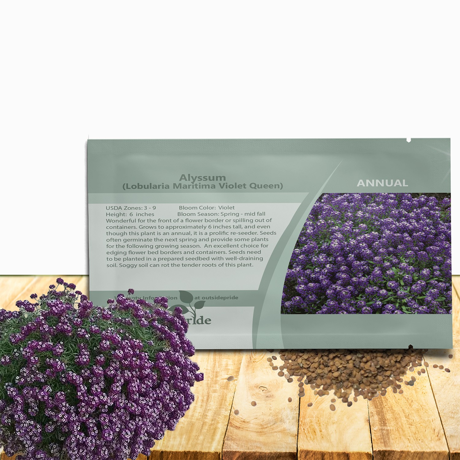 10000 Seeds Alyssum Violet Queen Drought Resistant Ground Cover Plant &