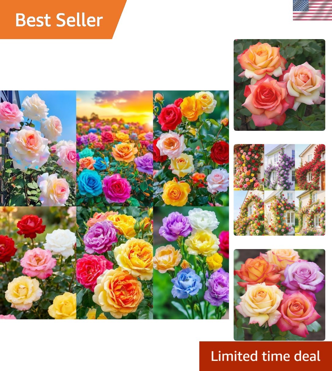 250+ Mix Climbing Roses Flowers Seeds -Rose Bushes Vine Climber Rose Seeds fo…