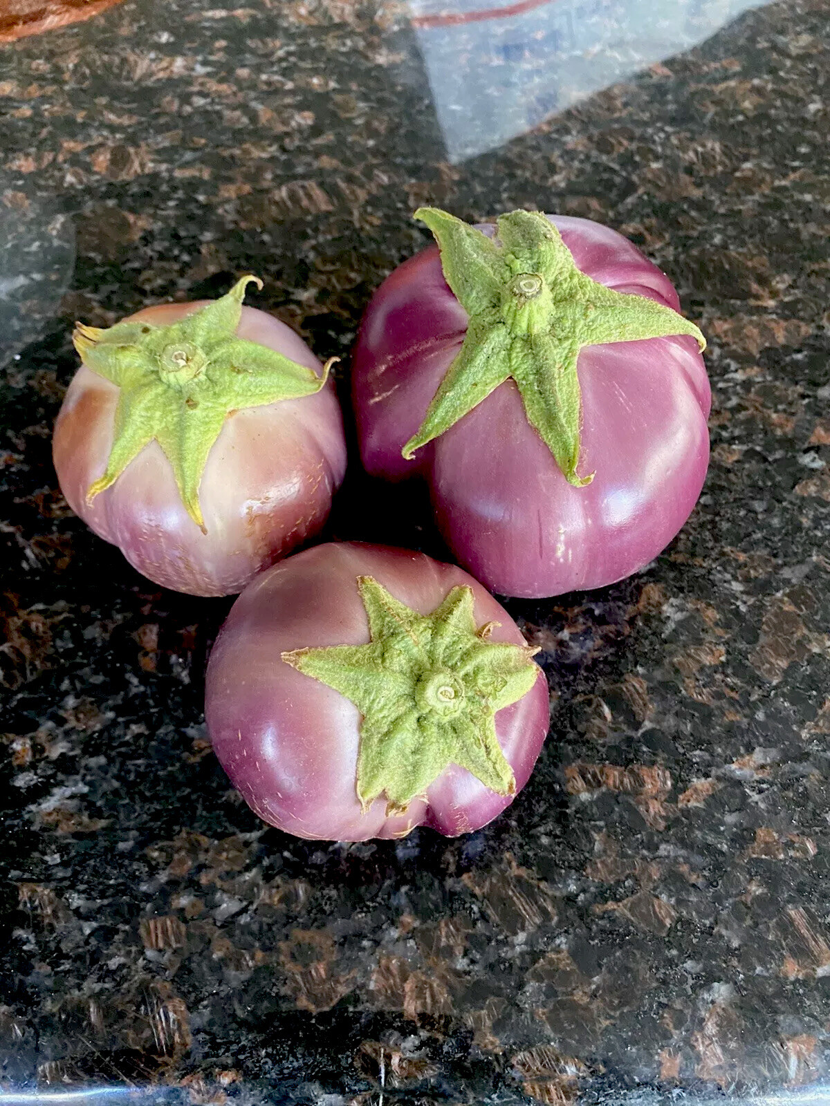 30+ Thai Purple Ribbed Eggplant Seeds Grown Organically Ship In Regular Envelope