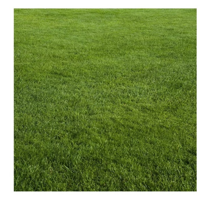 [BIG SALE] GrowTrax Natural Seed Blanket 50ft x 2ft Compost Fabric Roll New
