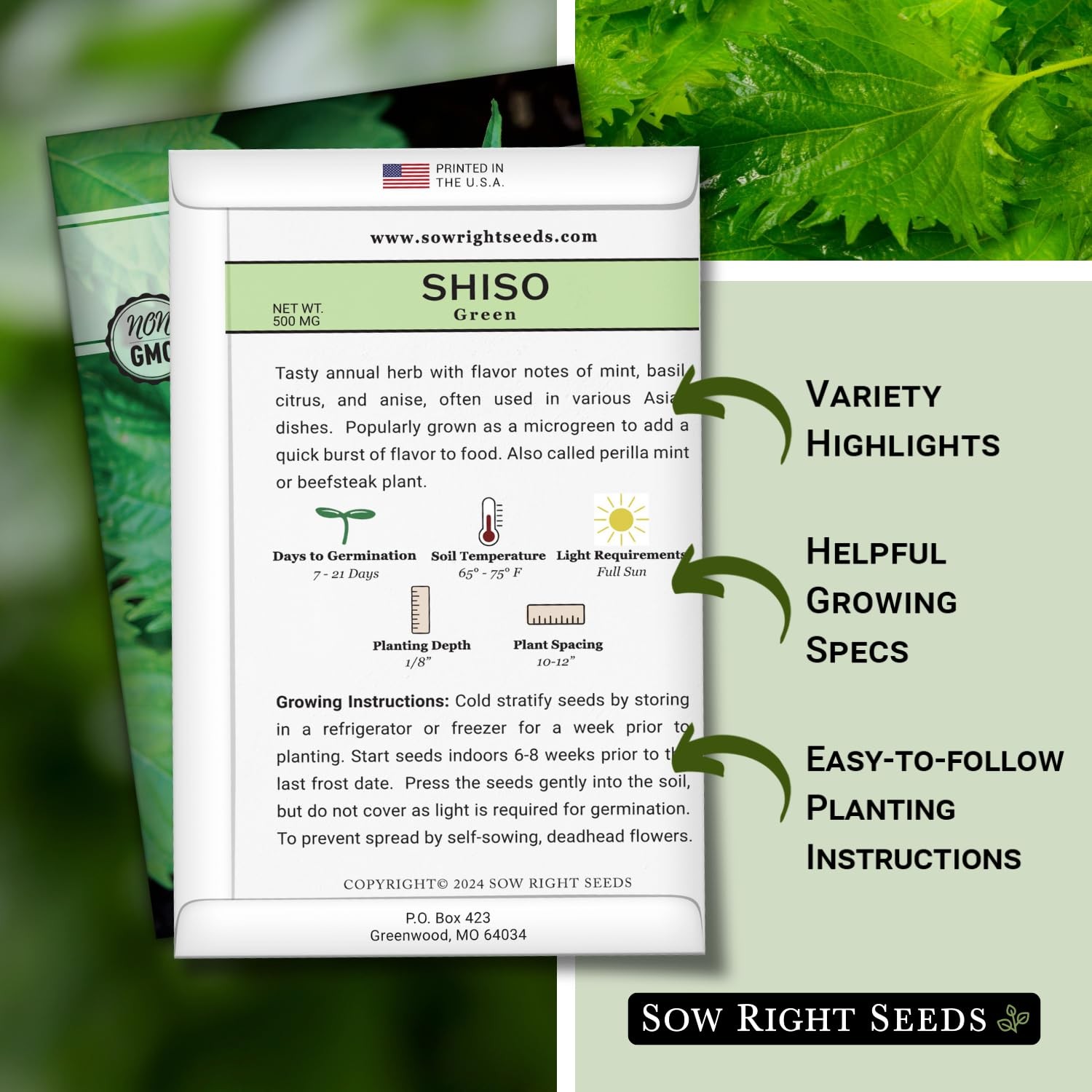 – Green Shiso Seeds for Planting – Perilla Seeds Japanese Shiso – Non-GMO Hei…