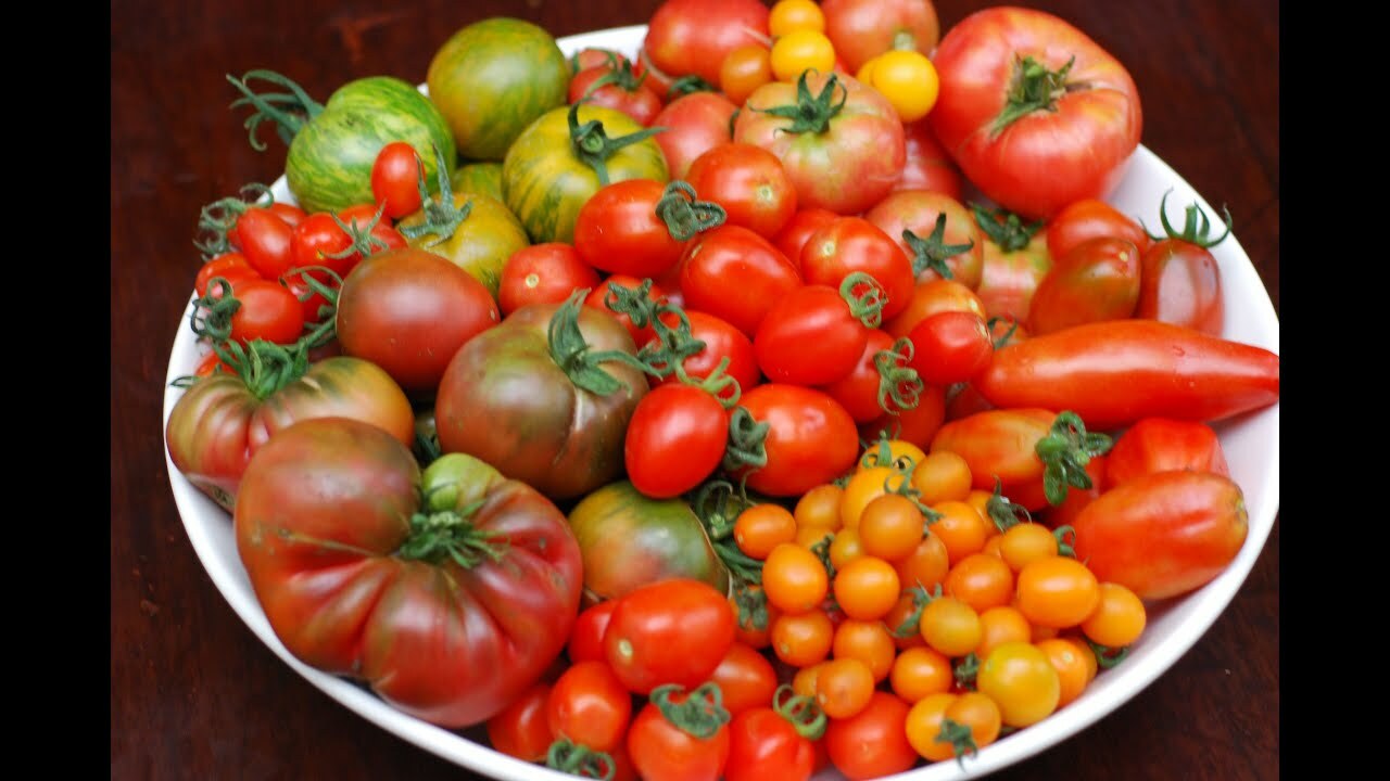 TOMATO Heirloom Mix 40 Seeds ALL TYPES NON-GMO spring summer garden RARE TASTEE!