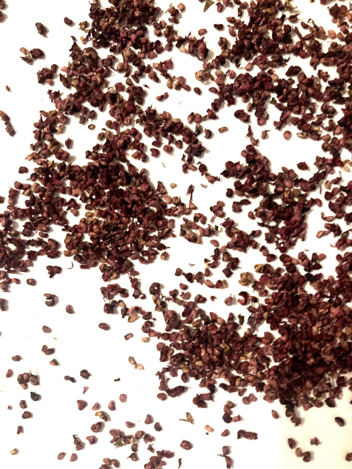 Black Raspberry Seeds (Rubus Occidentalis) Blackcap Raspberry Thimbleberry