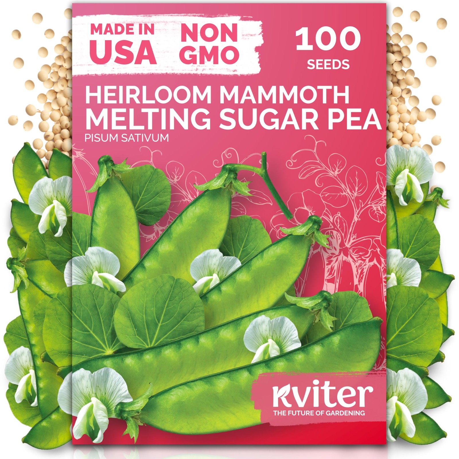 KVITER 100 Mammoth Melting Snow Pea Seeds (Pisum Sativum)