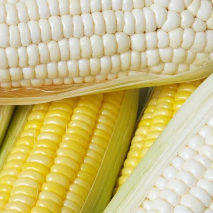 50pcs Sweet White Corn Seeds – Heirloom, Sweet, Open-Pollinated, Non-GMO