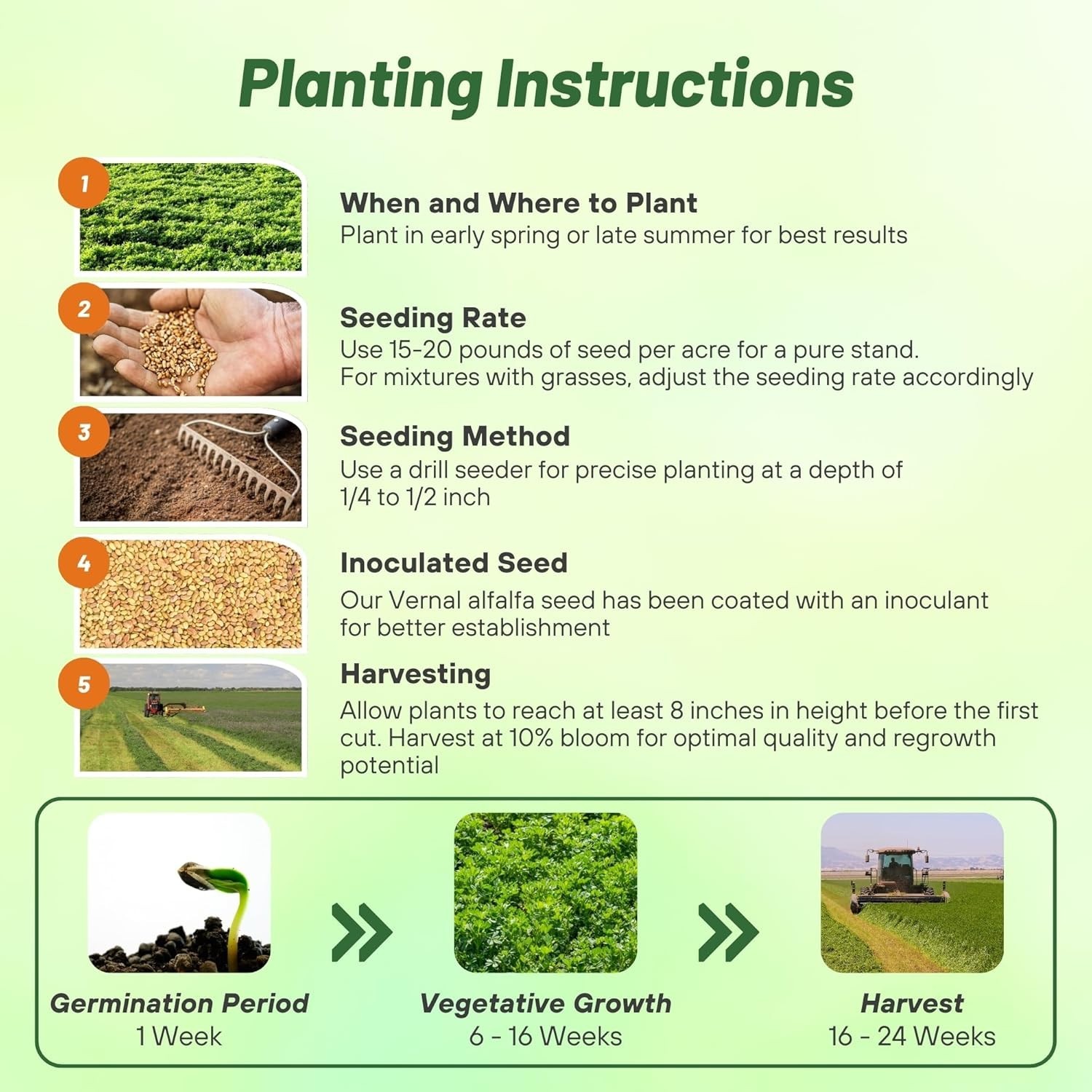 Vernal Alfalfa Seeds for Dense Coverage & Superior Yield
