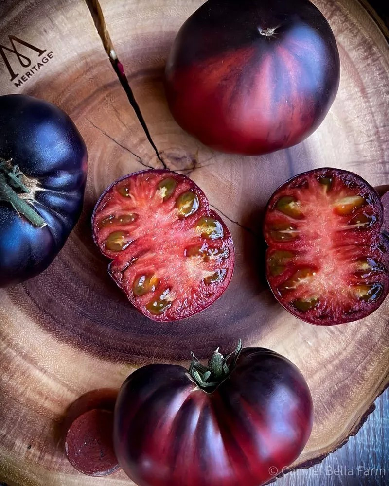 120+ Black Beauty Tomato Seeds – Organic – Heirloom —————— RARE