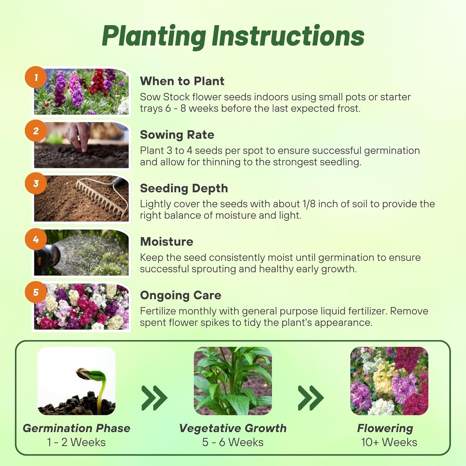 2000 Seeds Stock Seeds – Stock Ten Week Mixed Flower Seed