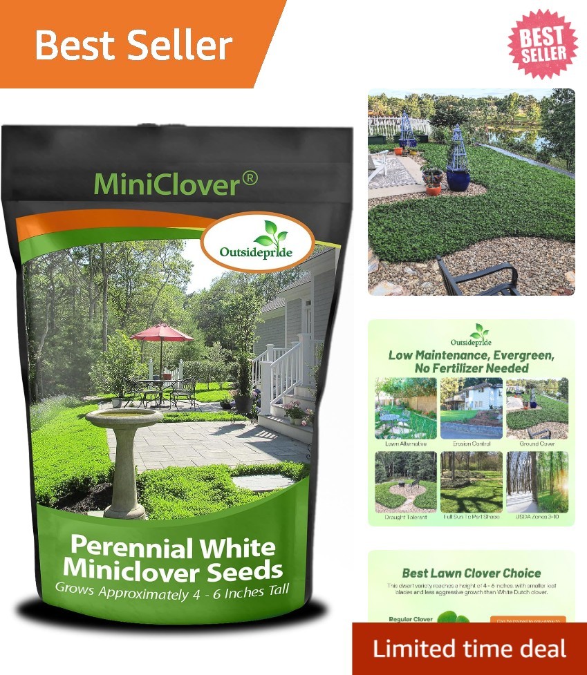 Drought-Resistant MiniClover Seed – 2 lb Small-Leaved Ground Cover Solution