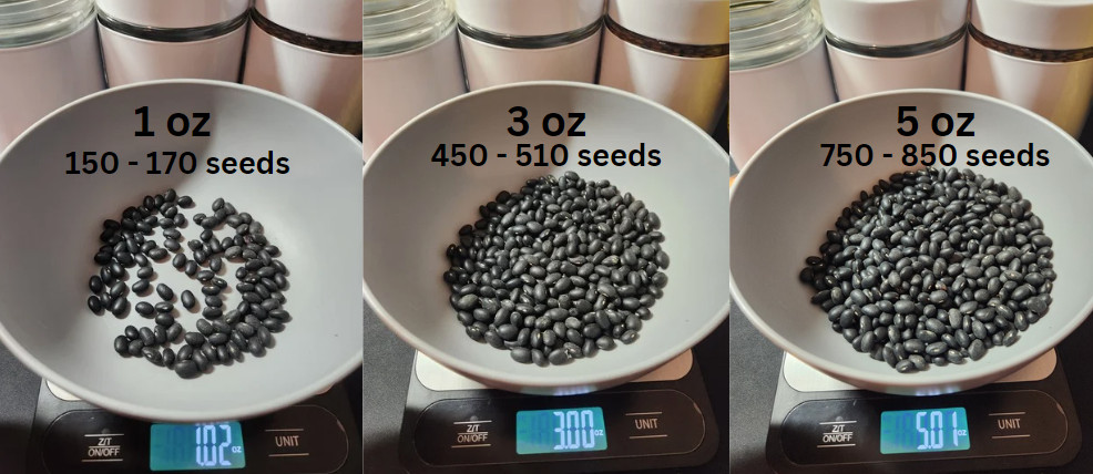 Wholesale Seeds, Semillas al por mayor, Puerto Rico, gandules, beans, hydroponic