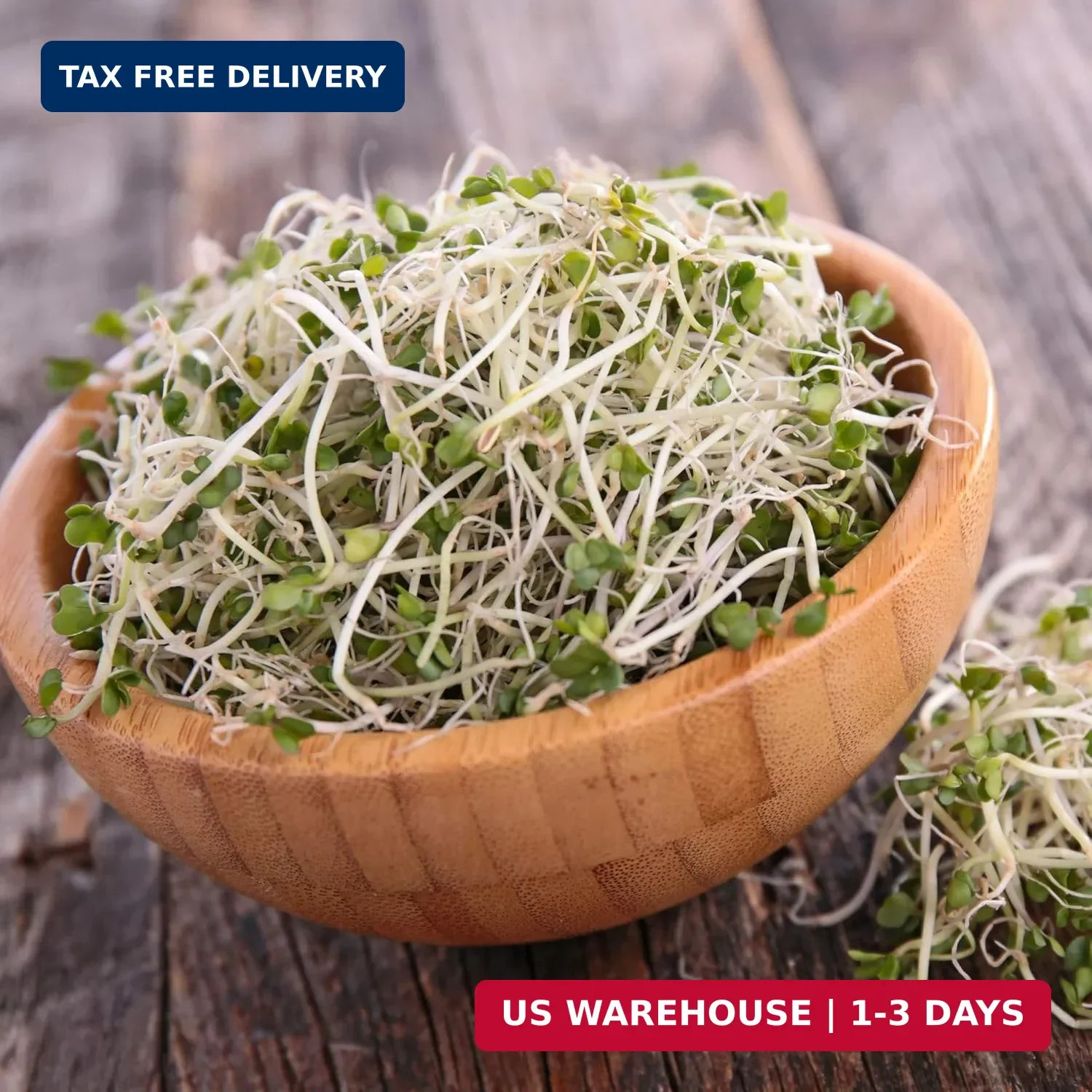 Organic Broccoli Sprouting Seeds By Handy Pantry | 8 oz. Resealable Bag | Non-GM