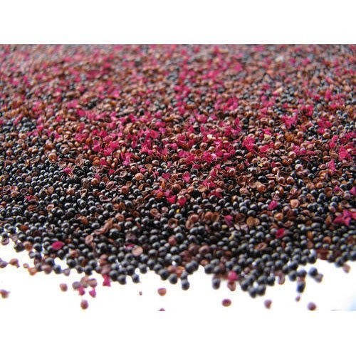 Red Amaranth Seeds – Lal Shak (লাল শাক) – High‑Quality Seeds for Planting