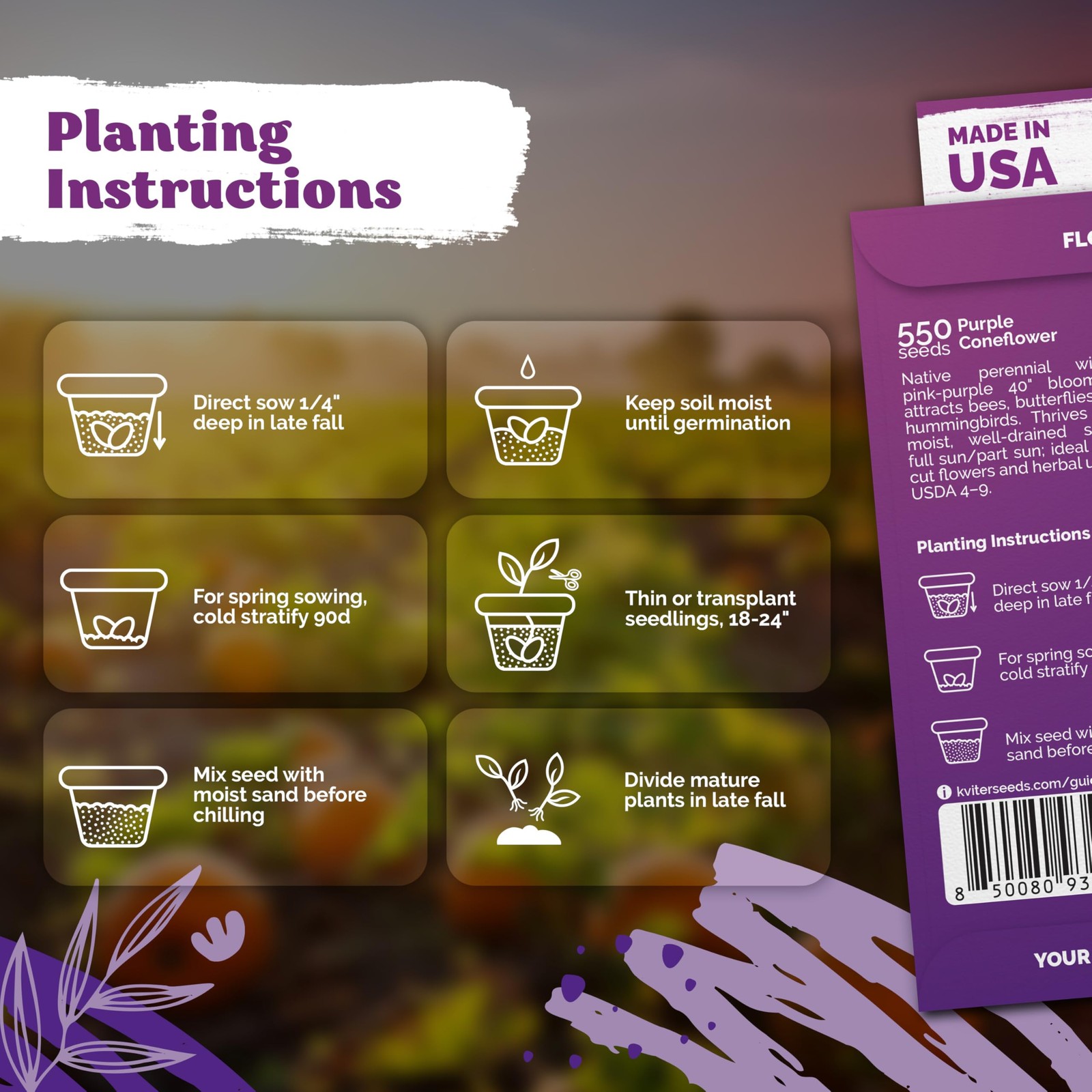 KVITER 550 Purple Coneflower Seeds (Echinacea Purpurea)