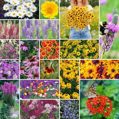 Wildflower Mixed Seeds for Planting, 1/4 lb, 120,000+ 1/4 Pound All Perennial