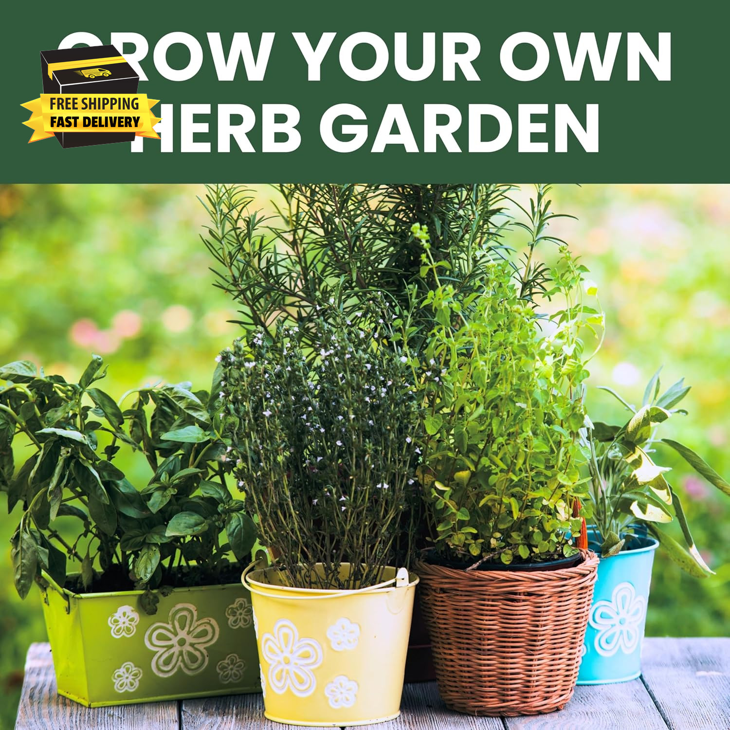 Herb Seeds | 5 Invidiual Packs | 2026 Season | Non-Gmo | Basil, Dill, Spearmint,