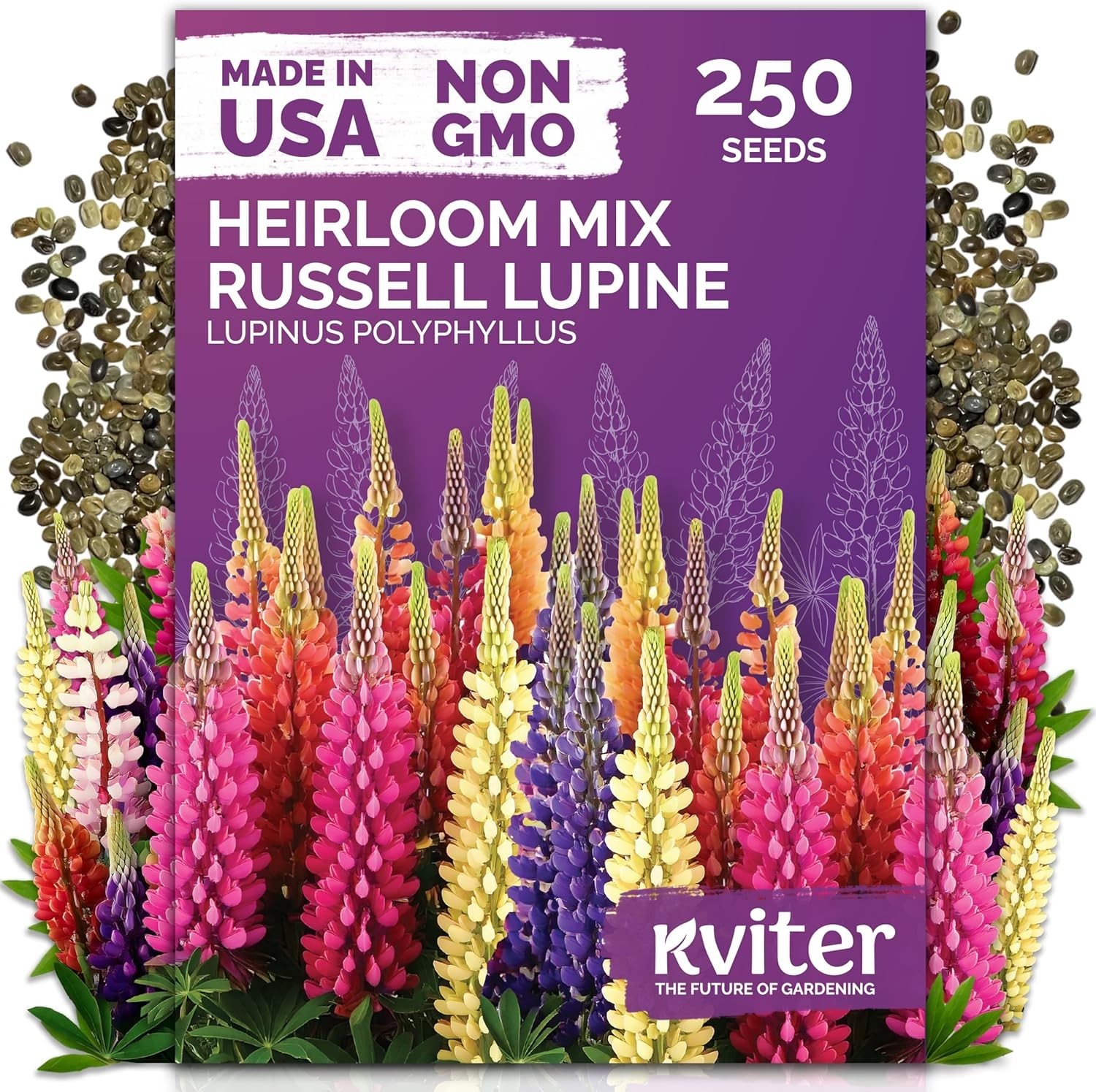 250 Mixed Russell Lupine Seeds for Full Sun Gardens – Easy & Low Maintenance