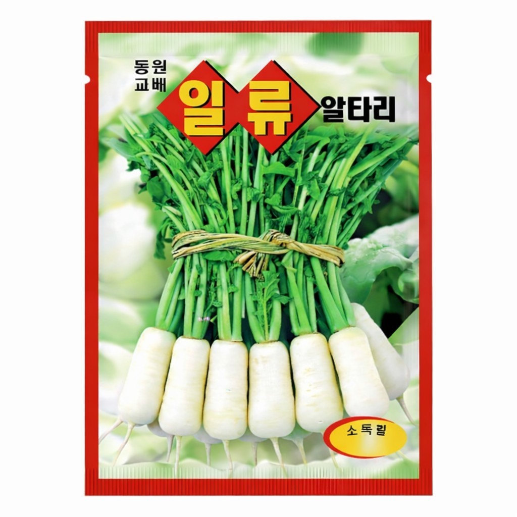 Korean Young Radish Seeds 1 Pack | Whole Radish with Greens for Kimchi (알타리)