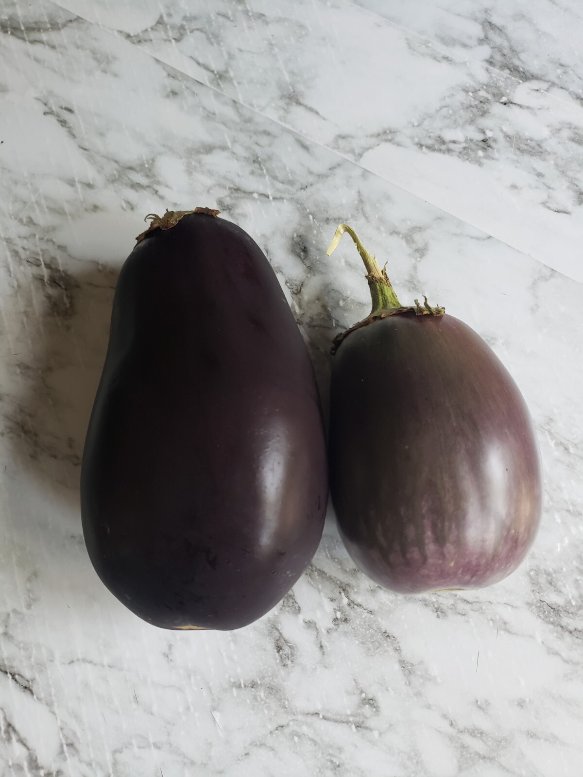 Heirloom, Open Pollinated, Non GMO Garden Seeds
