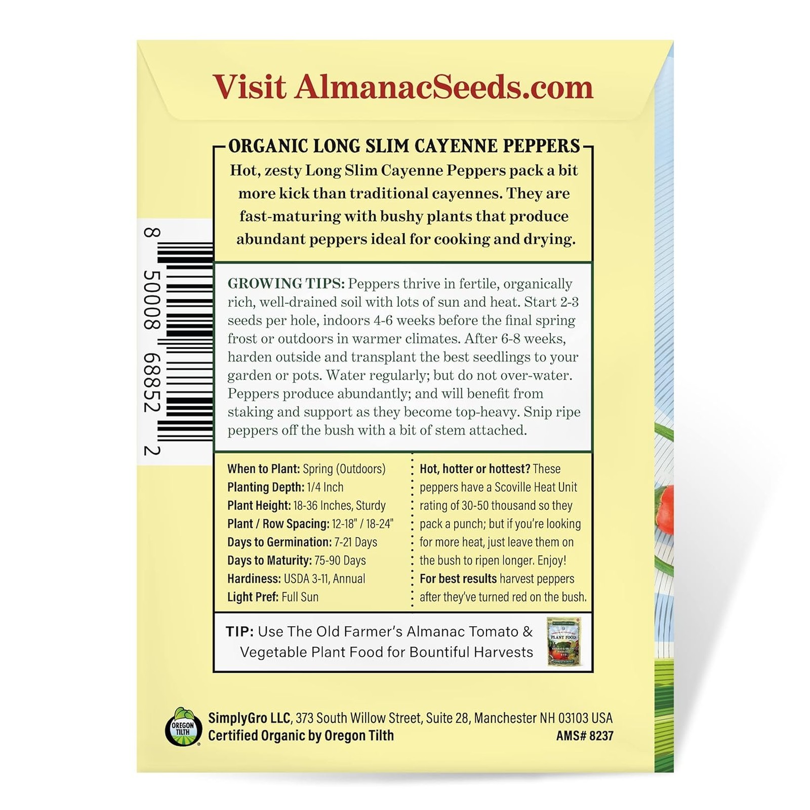 Organic Cayenne Pepper Seeds Long Slim Model, Heirloom, Open Pollinated