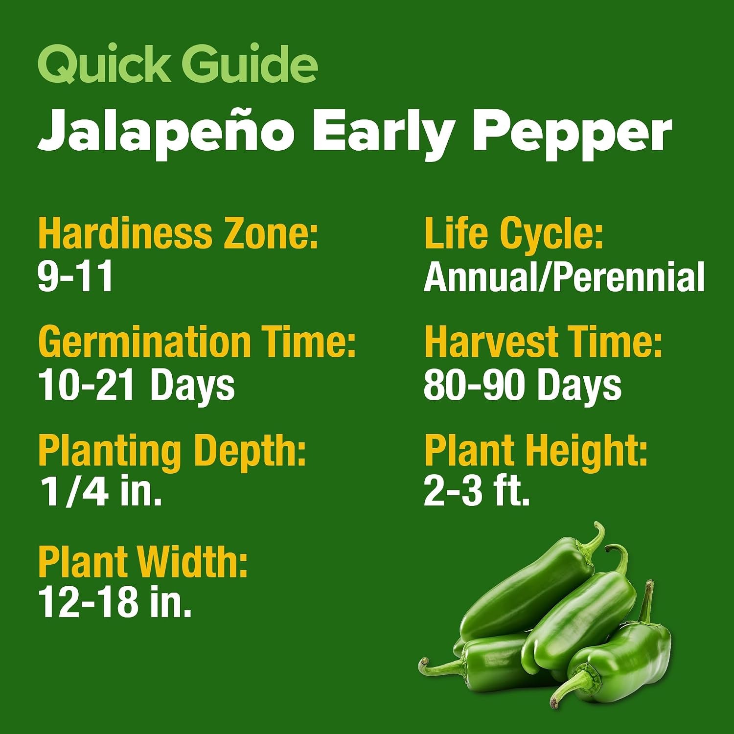 Jalapeno Pepper Heirloom Non-GMO Seeds 258+ Homegrown Jalapeno Seeds for
