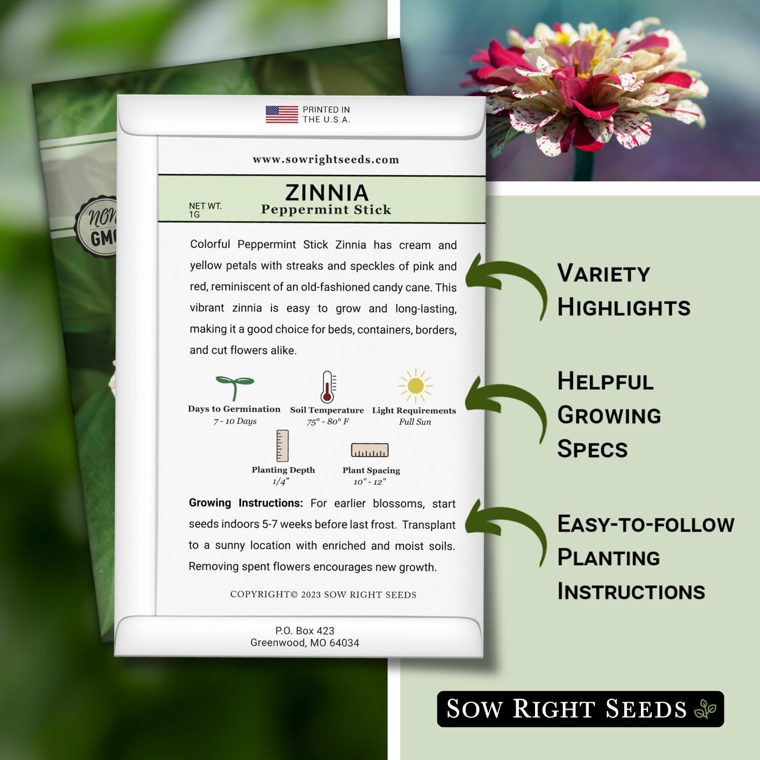 – Peppermint Stick Zinnia Seeds for Planting – Non-GMO Heirloom Packet to Pla…