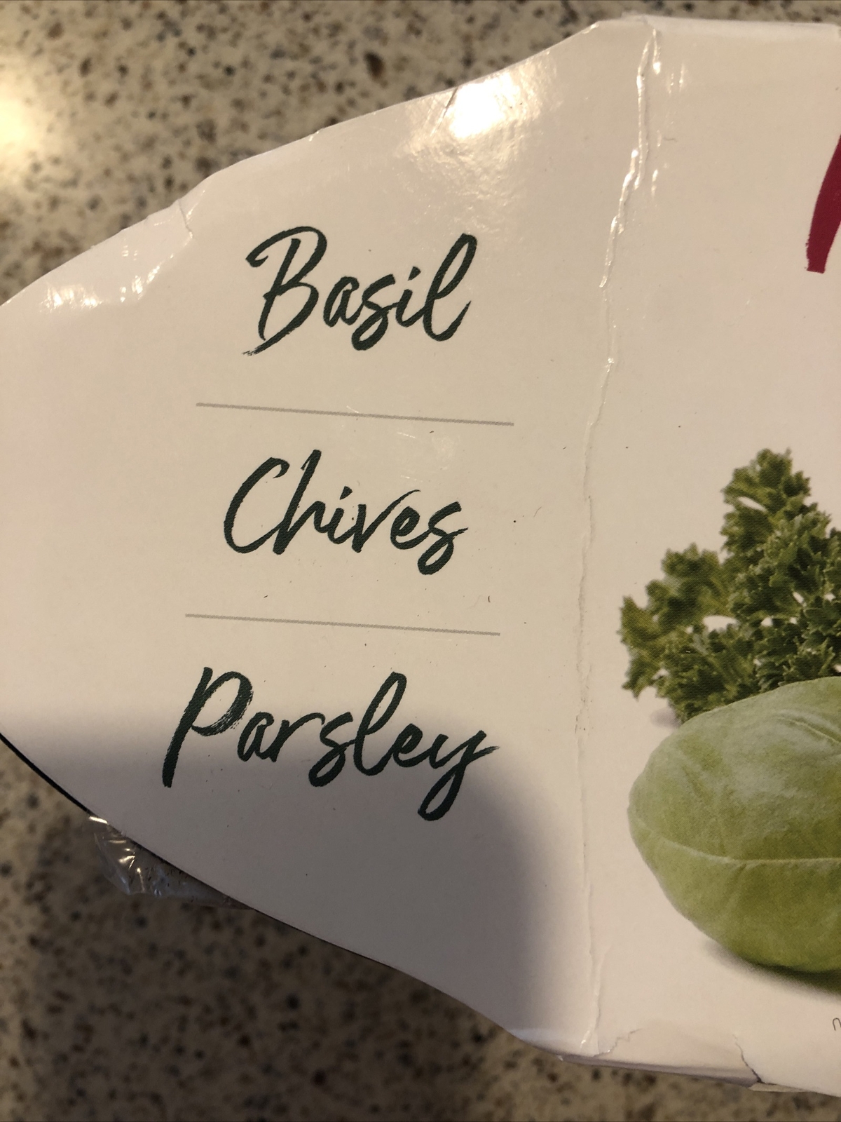 My Herb Garden Basil, Chives, Parsley Seed Planter Kit Kitchen Window Garden