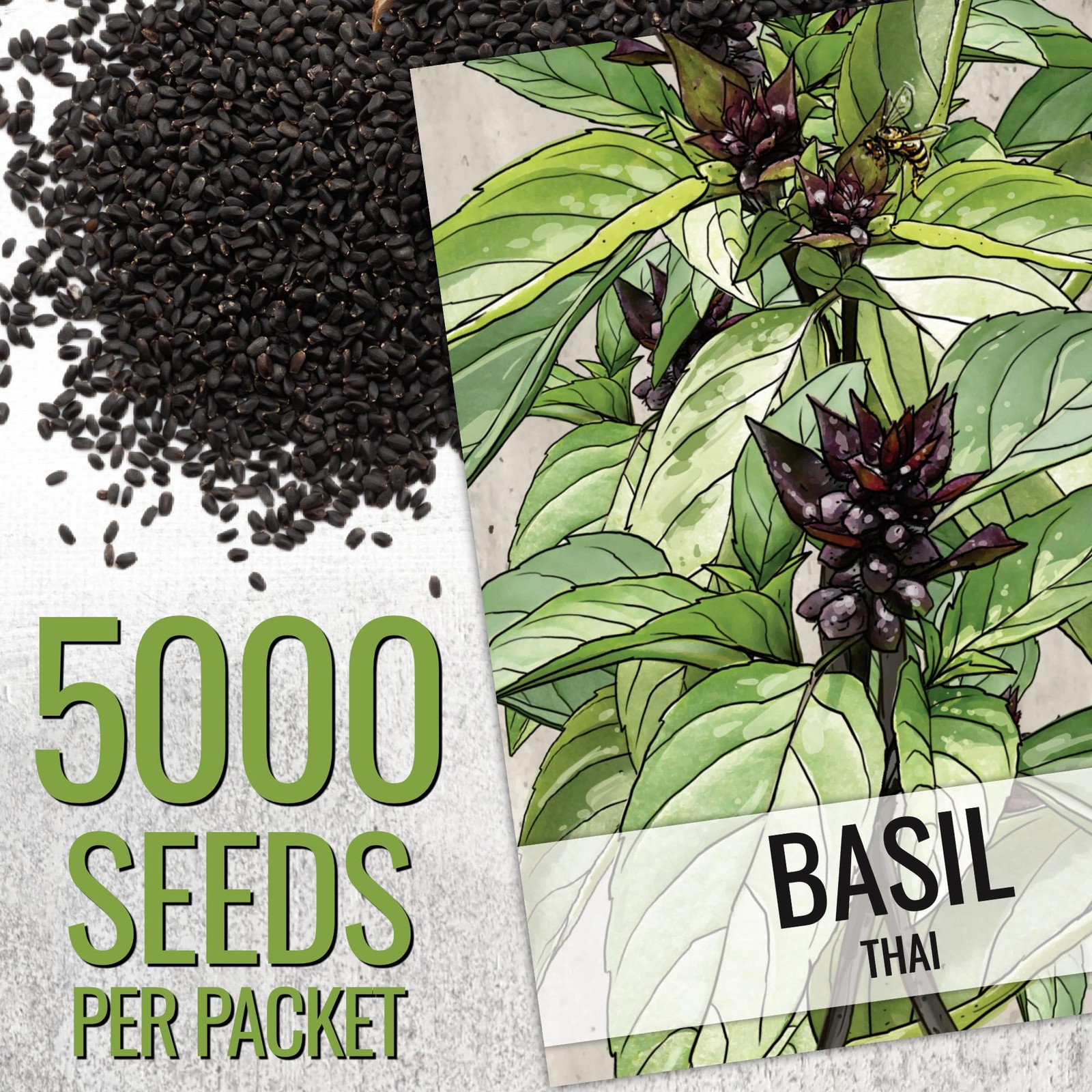 Basil Seeds for Planting – Non-GMO Thai Basil for Indoor/Outdoor Herb Garden