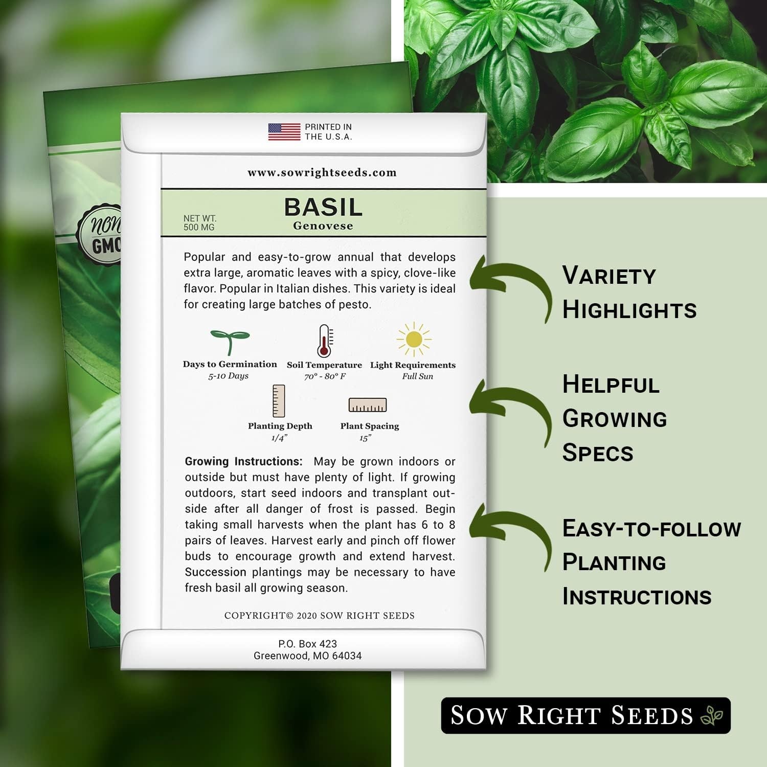 500 Count Genovese Basil Seeds – Non-GMO Heirloom for Hydroponic & Soil Gardens