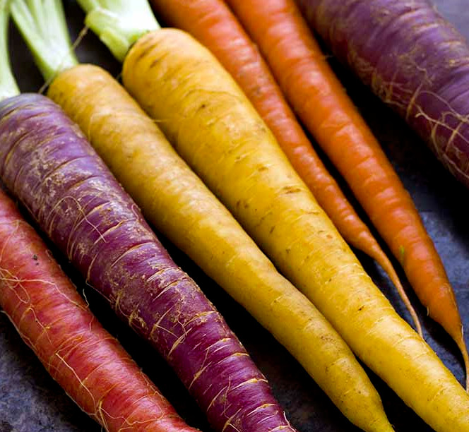 RAINBOW CARROT SEEDS 500+ vegetable GARDEN culinary SOUPS non-gmo FREE SHIPPING