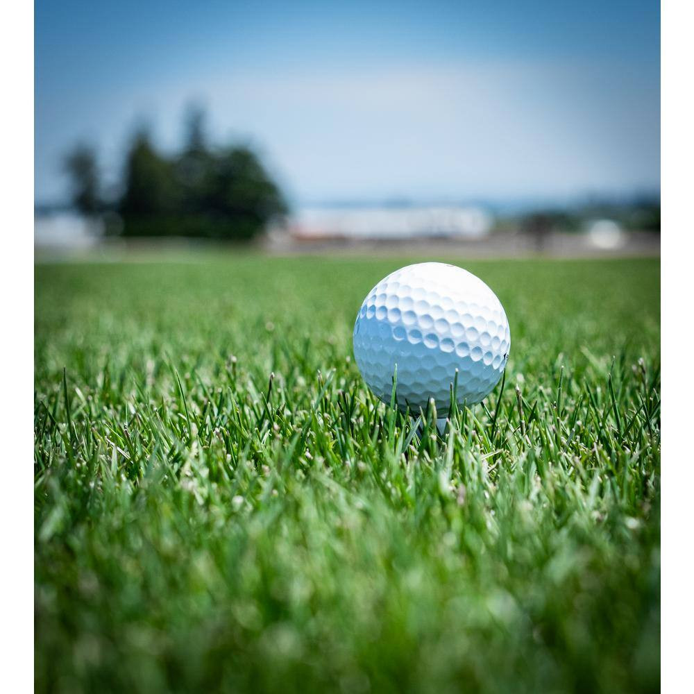 3 Lbs. Sun and Shade Grass Seed
