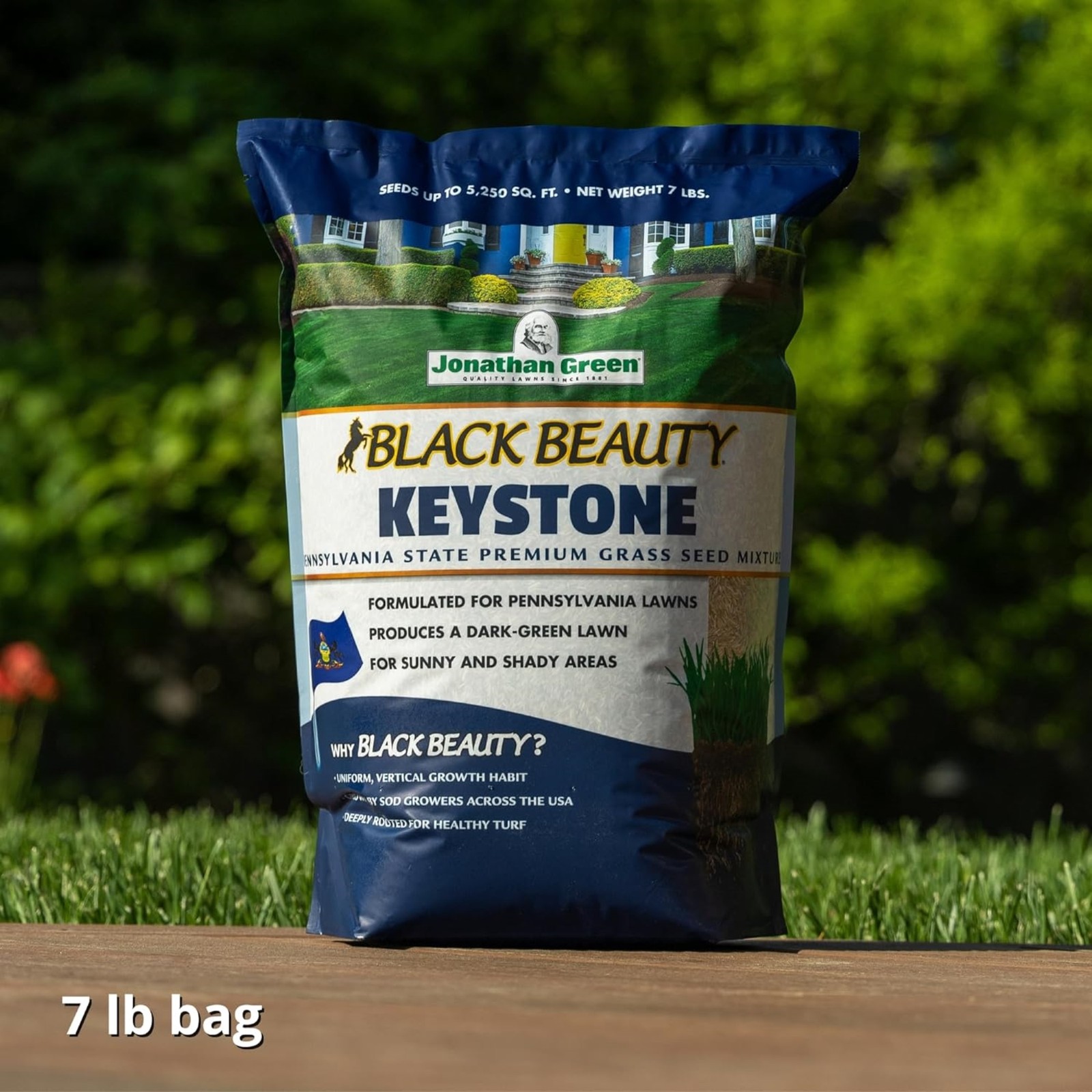 Jonathan Green (#10361) Black Beauty Keystone Pennsylvania Grass Seed Mix, 7lb
