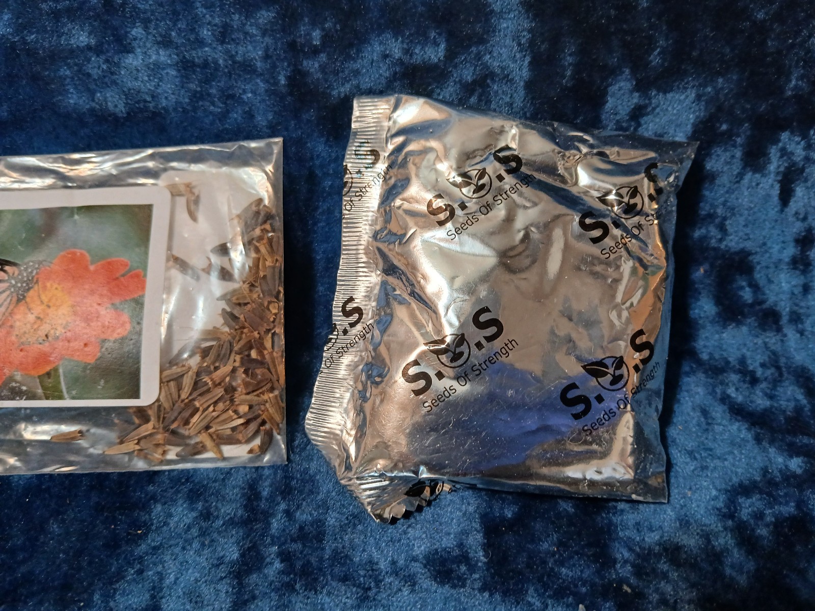 1000+ Double Hollyhock Flower Seeds + 100 Mexican Sunflower Seeds + 1 Unknown