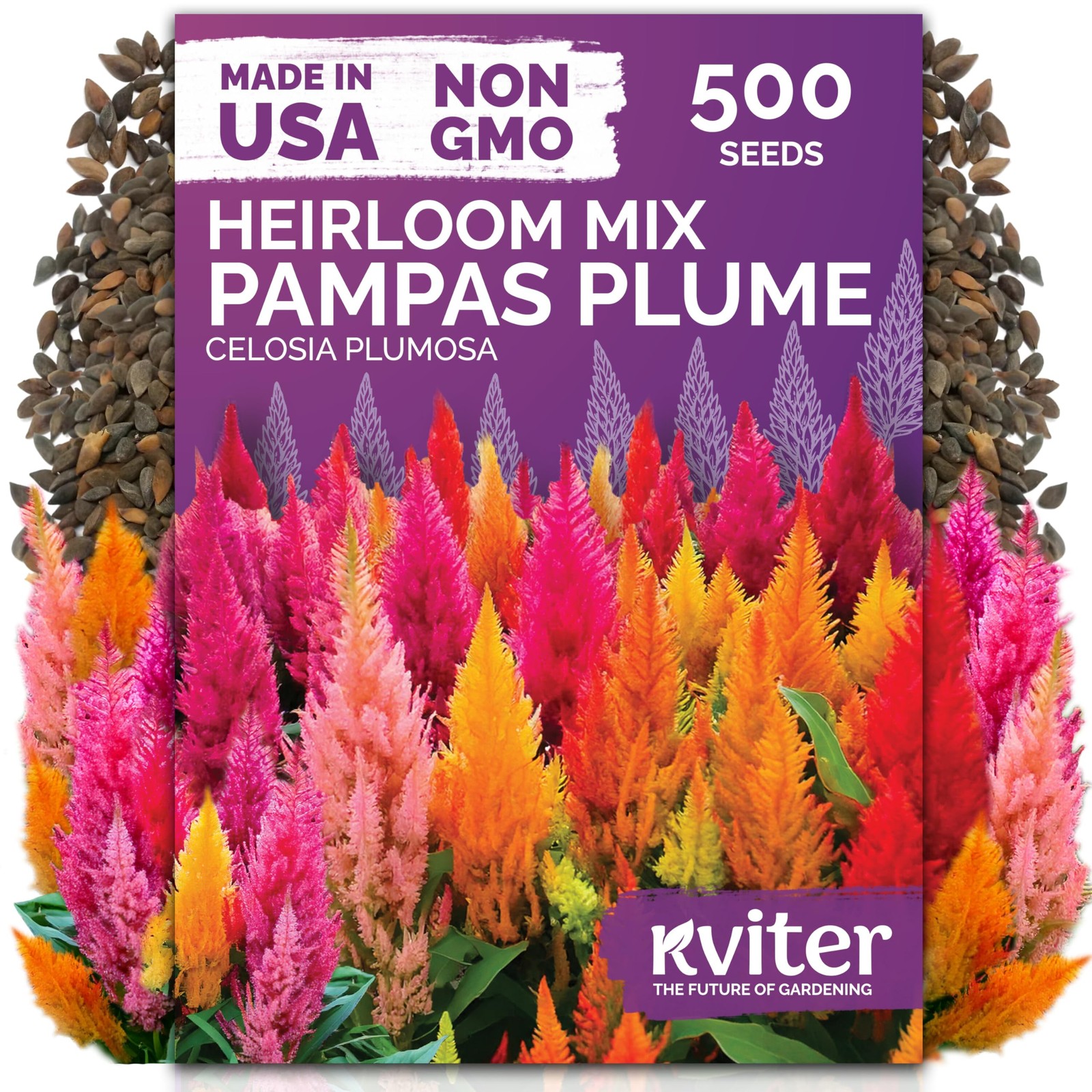 500 Mixed Pampas Plume Seeds for Planting – Non-GMO Celosia Flower Packets
